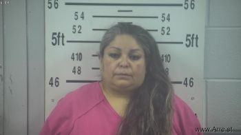 Maria Elena Munoz Mugshot