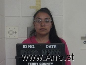 Marissa  Flores Mugshot