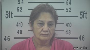 Mary Helen Saldana Mugshot