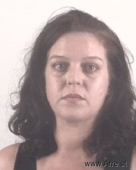 Megan Ashley Johnson Mugshot