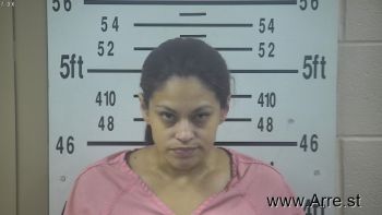 Melissa Ann Hernandez Mugshot