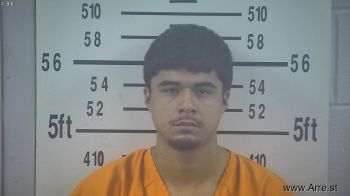 Michael  Estrada Mugshot