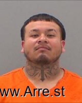 Michael  Martinez Mugshot