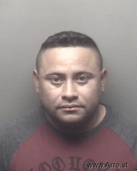 Manuel  Melgar Mugshot