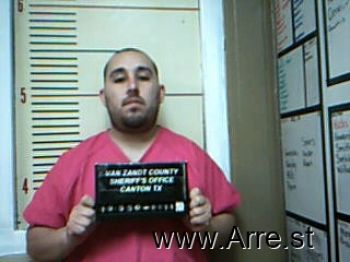 Manuel J Villarreal Mugshot