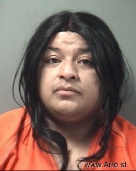 Maria Guadalupe Guerra Mugshot