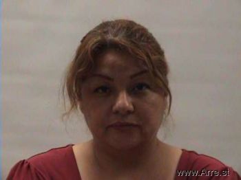 Maria Elena Sanchez Mugshot