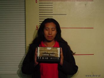 Maria Olga Sanchez Mugshot