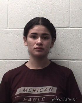 Mariana  Mendoza Mugshot