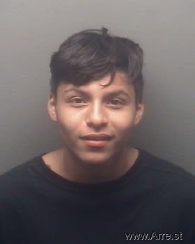 Mario  Hernandez Mugshot