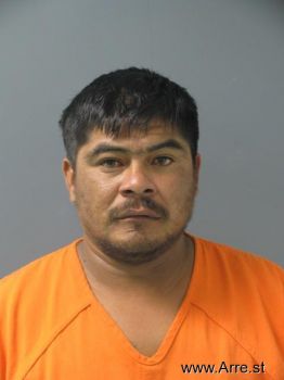 Mario  Hernandez-laguana Mugshot