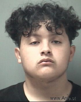 Mario  Villarreal Mugshot