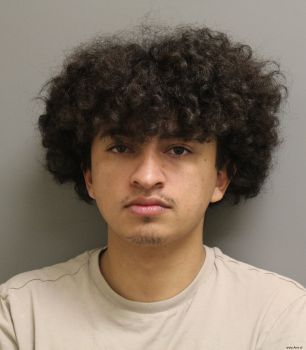 Mark Adrian Castillo Mugshot