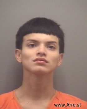 Marlon  Martinez-alvarado Mugshot