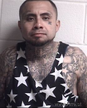 Martin  Flores Mugshot