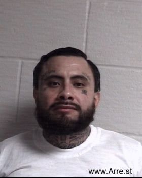 Martin  Flores Mugshot