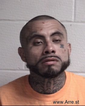 Martin  Flores Mugshot