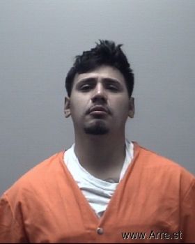 Martin Lee Perez Mugshot