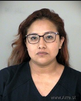 Marvely  Briones-torres Mugshot