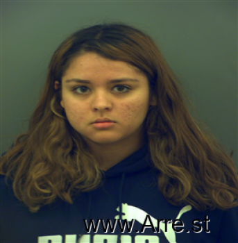 Mary  Apodaca Mugshot