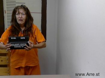 Mary Ann Wilson Mugshot