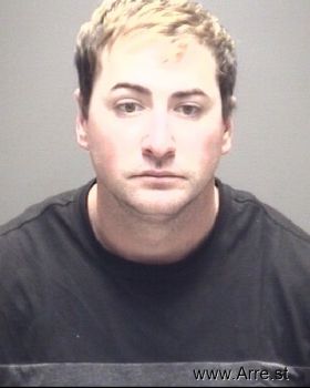 Matthew Michael Healy Mugshot