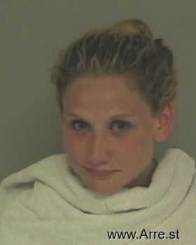 Megan Elise Johnson Mugshot