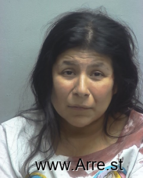 Melanie Renee Reyes Mugshot