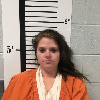 Melanie Brooke Sisk Mugshot