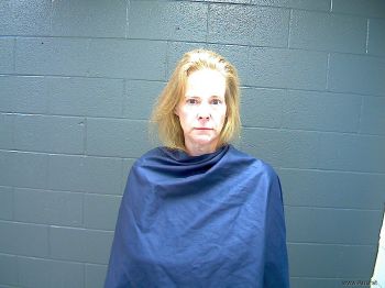 Melissa Kay Higginbotham Mugshot