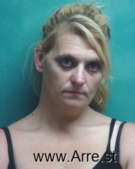 Melissa Ann Williams Mugshot