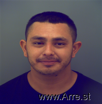 Michael  Alvarado Mugshot