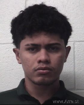 Michael David Alvarado Cerrato Mugshot