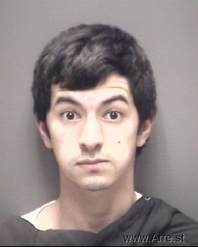 Michael . Ledezma Mugshot