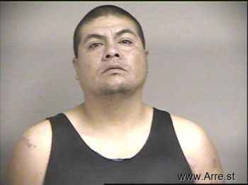 Michael  Martinez Mugshot