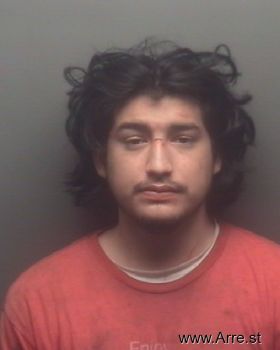 Michael  Mendoza Mugshot