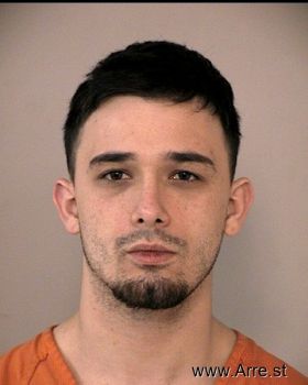 Michael Layke Rains Mugshot