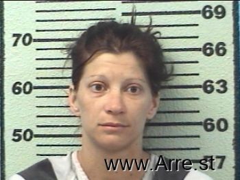 Michelle Christina Lovell Mugshot