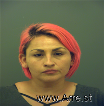 Miriam  Coronel Mugshot