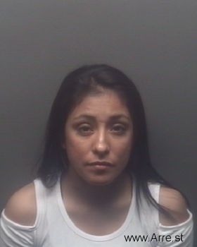 Misty Marie Flores Mugshot