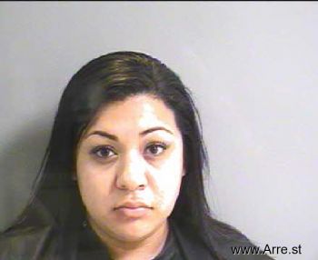 Monica Gonzalez Castillo Mugshot