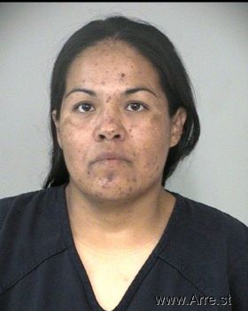 Nancy Ann Torres Mugshot