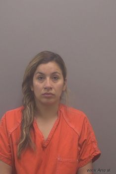 Nancy  Vasquez Mugshot