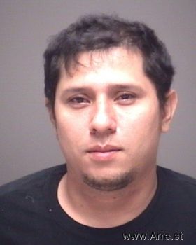 Nelson Trinidad Guzman Mugshot