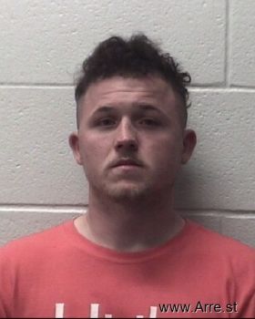 Nicholas Cameron Brown Mugshot