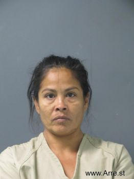 Olga Flores Garcia Mugshot