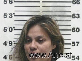 Patricia Ann Garcia-martinez Mugshot