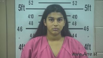 Patricia Leann Perez Mugshot