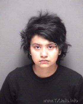 Paulina Ontireros Gomez Mugshot