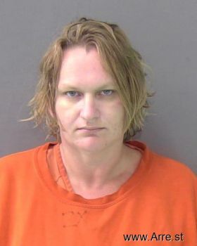 Pamela Ann Pierce Mugshot